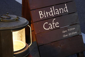 Birdland cafe